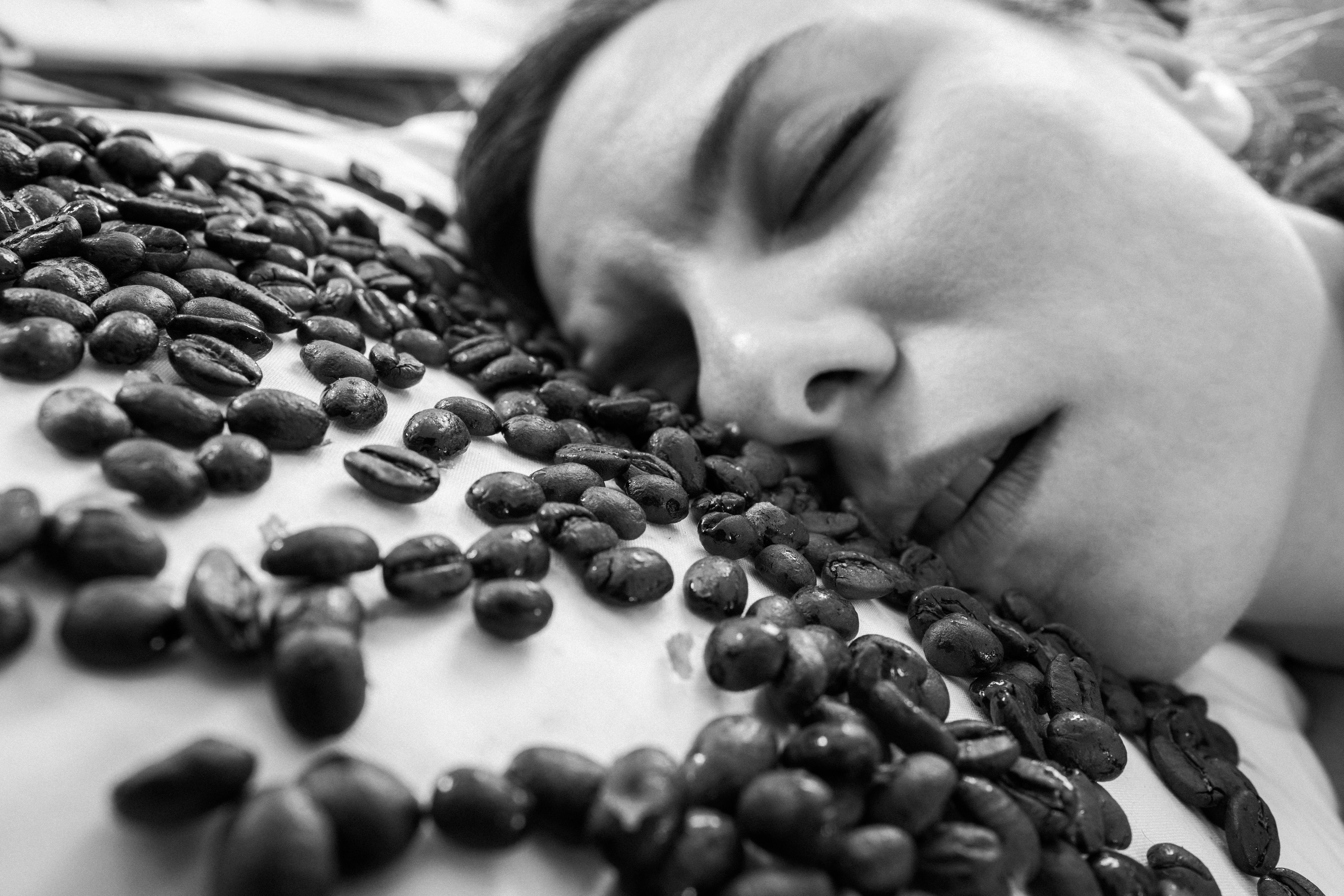 Gratis stockfoto downloaden gratisography-sleeping-coffee-beans