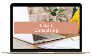 1 op 1 Consulting